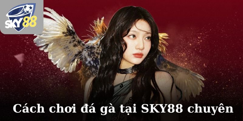 Cách chơi đá gà tại SKY88 chuyên nghiệp