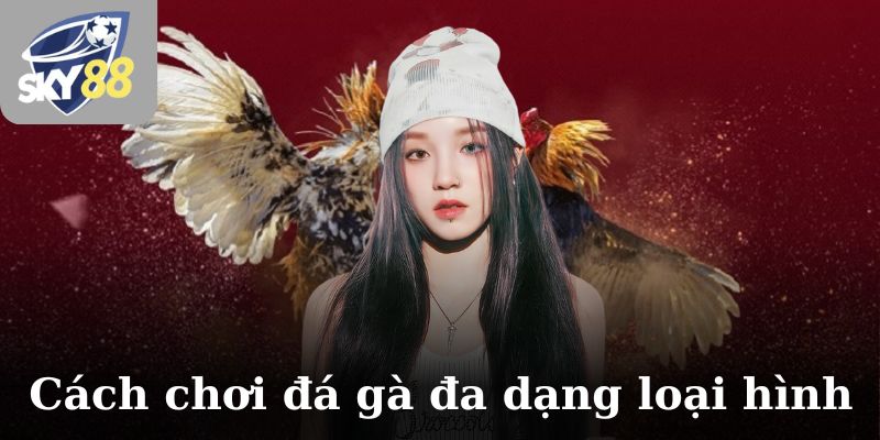 Cách chơi đá gà với đa dạng loại hình