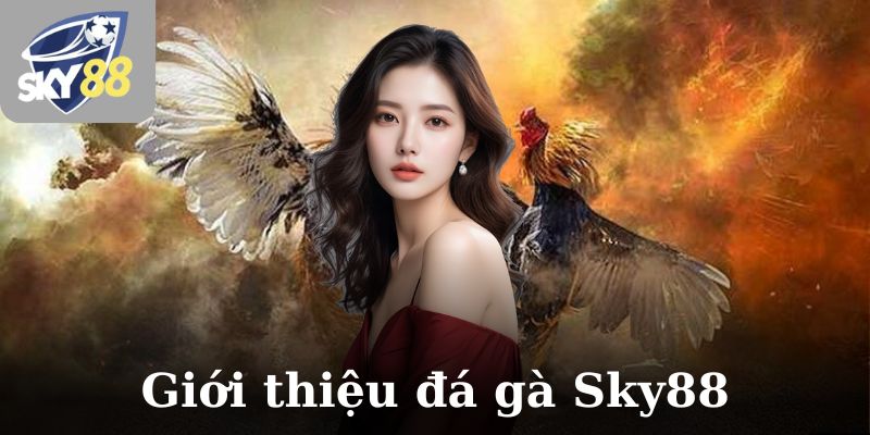 Đá gà Sky88 giới thiệu tổng quan