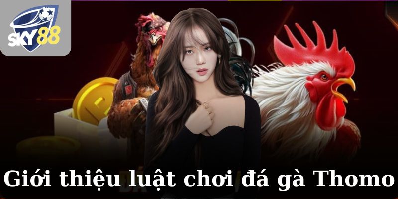 Giới thiệu luật chơi đá gà Thomo đơn giản nhất