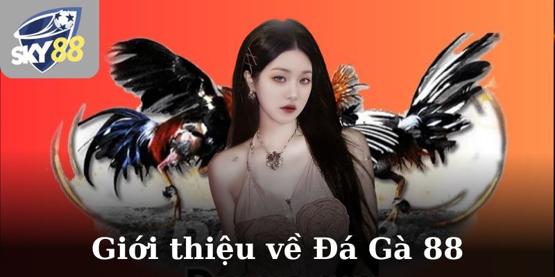 Giới thiệu về Đá Gà 88