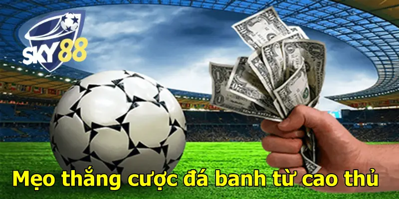 Mẹo thắng cược đá banh từ cao thủ