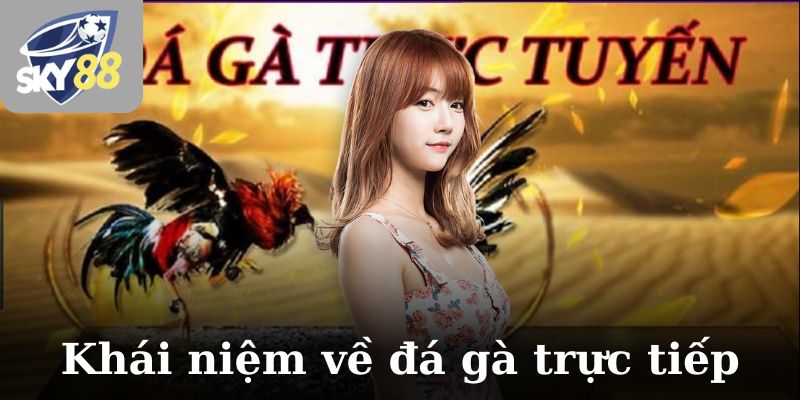 Khái niệm chi tiết về đá gà trực tiếp