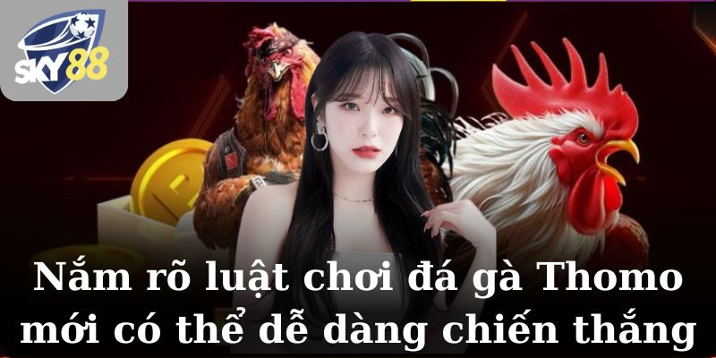 Nắm rõ luật chơi đá gà Thomo mới có thể dễ dàng chiến thắng