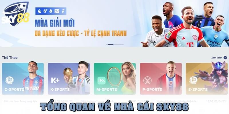 Tổng quan về nhà cái SKY88