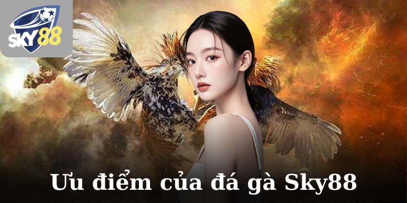 Ưu điểm vượt trội của đá gà Sky88
